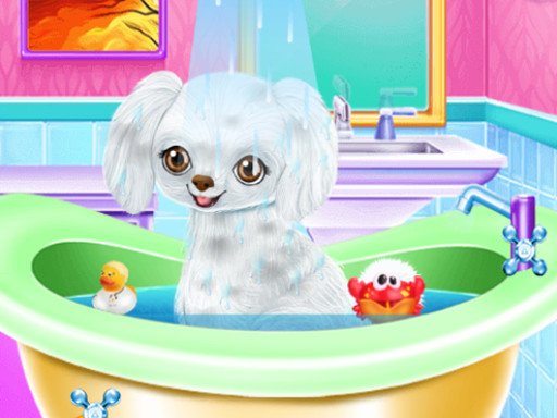 My New Poodle Friend online game