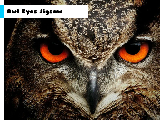 Owl Eyes Jigsaw online game