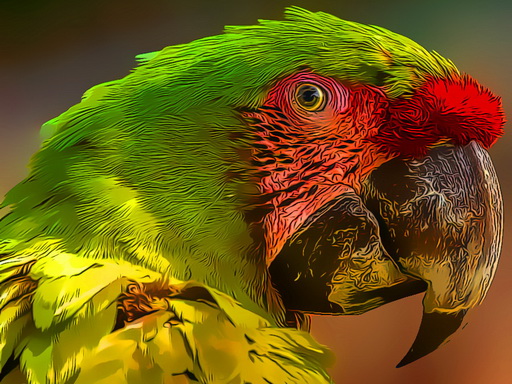 Parrot Bird Puzzle online game