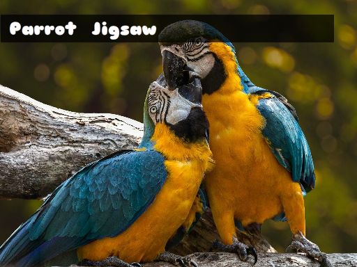 Parrot Jigsaw online game