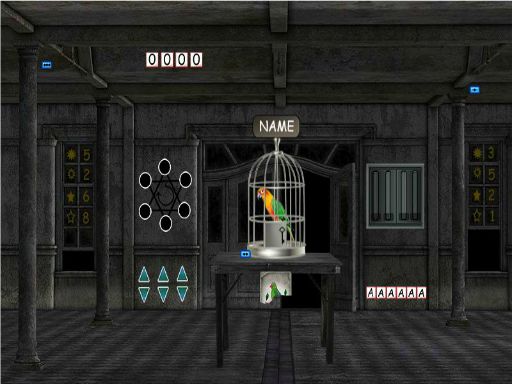 Parrots Escape online game