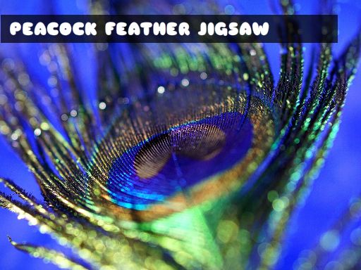 Peacock Feather Jigsaw online game
