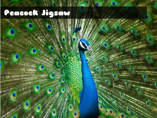Peacock Jigsaw online game