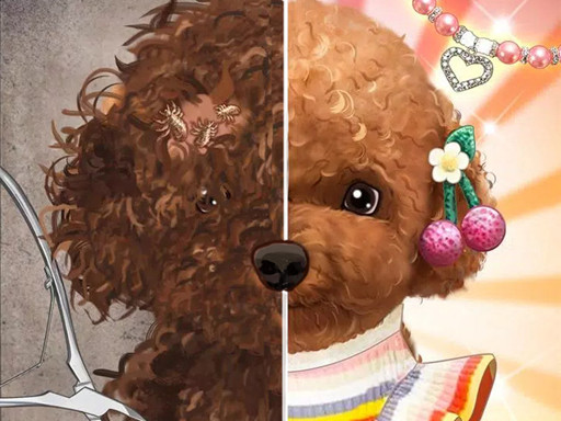 Pet Makeup Master online Girls game