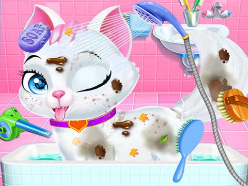 Pet Vet Care Wash Feed Animals - Animal Doctor Fun online game