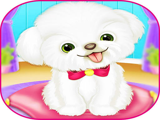 Pets Day Care Pro online game