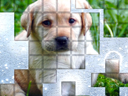 PicPu Dog online game