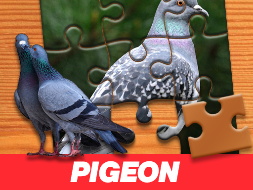 Pigeon Jigsaw Puzzle online game