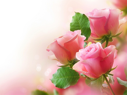 Pink Roses Puzzle online game