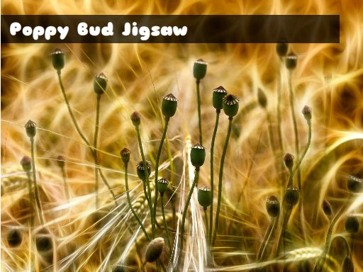 Poppy Bud Jigsaw online game