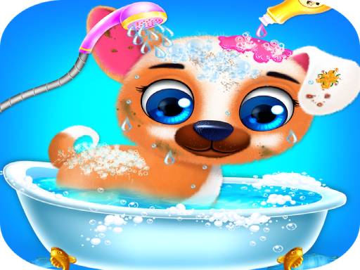 Puppy Care online game