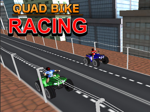 Quad Bike Racing online Racing game