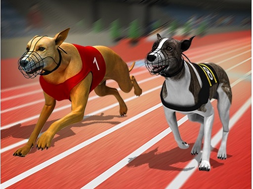Racing Dog Simulator : Crazy Dog Racing Games online game