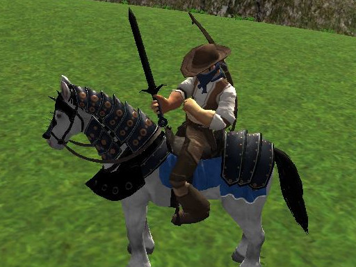 Reiten Simulator online game