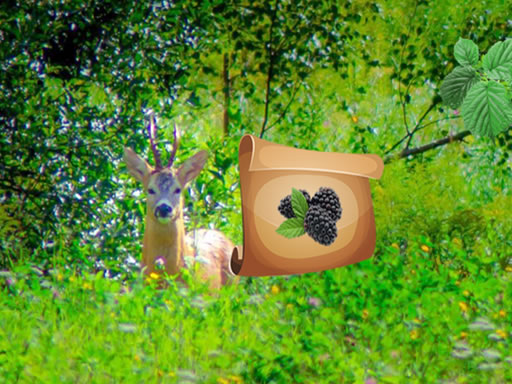 Return To Alsunga Forest online game