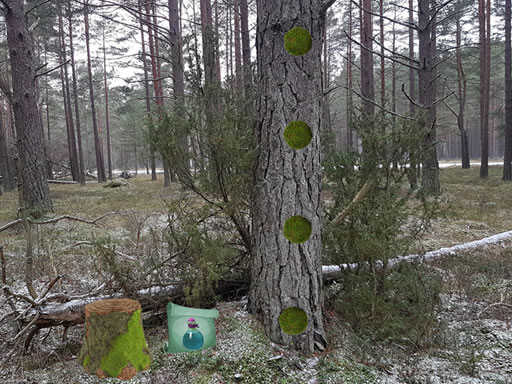 Return To The Frozen Forest online game