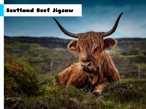 Scotland Beef Jigsaw online game