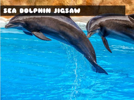 Sea Dolphin Jigsaw online game