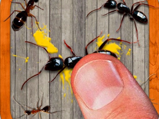 smash the insectt online game