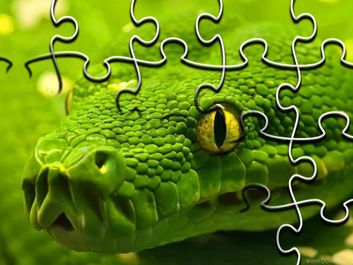 Snakes Jigsaw Puzzle online Puzzle game