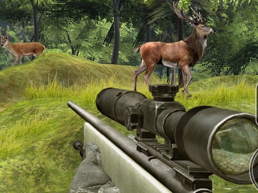 Sniper Hunting Deadly Animal online Shooting game