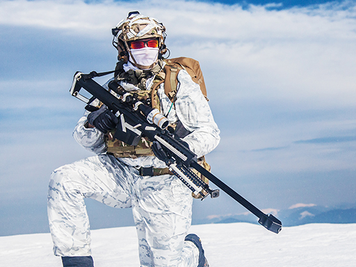 Snow Sniper online game