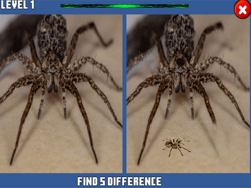 Spider Hidden Difference online game