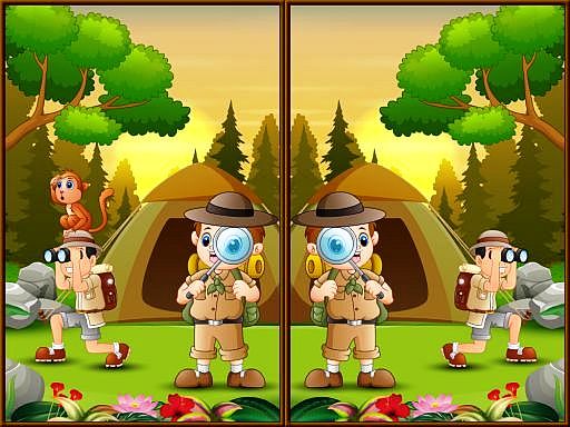 Spot 5 Differences Camping online game