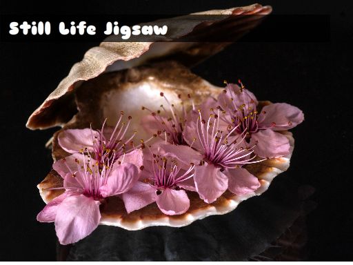 Still Life Jigsaw online game