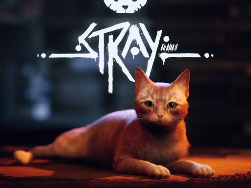 Stray online game