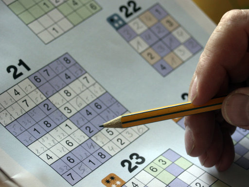 Sudoku 30 Levels online Puzzle game