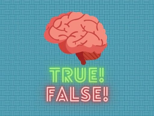 True or false quiz online game