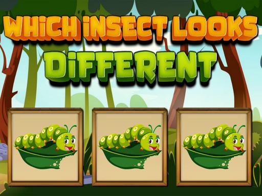 Which Insect Looks Different online Puzzle game