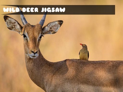 Wild Deer Jigsaw online game