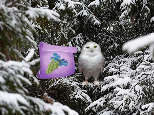 Winter Wonderland Forest Adventure online game